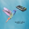 Woodpecker cover art