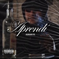 Aprendí - Single - DorianXL