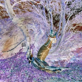 Treestory, Pt. 1 Power to the peaceful