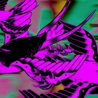 Ice Cream Letterman - Single - THEFOODLORD