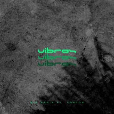 Vibras (feat. Vanton) - Single