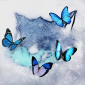 Frozen Butterfly artwork