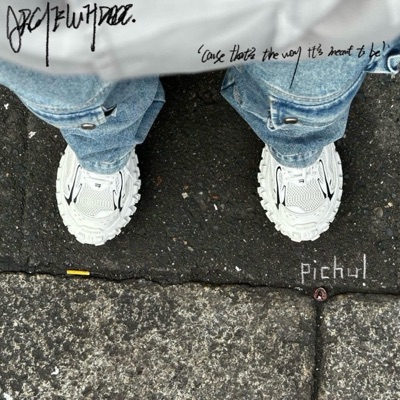 Balenciaga Outfit (feat. pichu) - Single