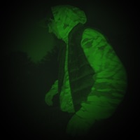 Got It (Cash) - Single - Alexx