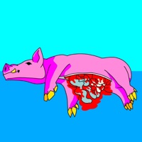 Dead Hog - Single - DEADSHØT