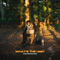 What's the Use? - Single - SANE