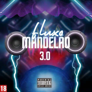 FLUXO MANDELÃO 3.0 - EP