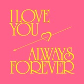 I Love You Always Forever (Extended Mix) artwork
