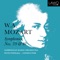 Symphony No. 40 in G Minor, K. 550: I. Molto allegro artwork