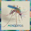JPattersson - Mosquitos artwork