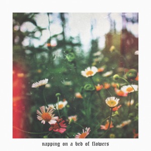 Napping On a Bed of Flowers