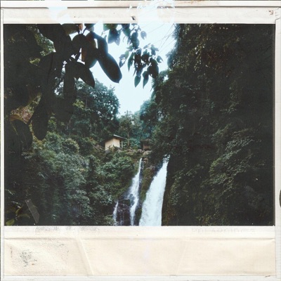 Sleeping Above Trees - Single
