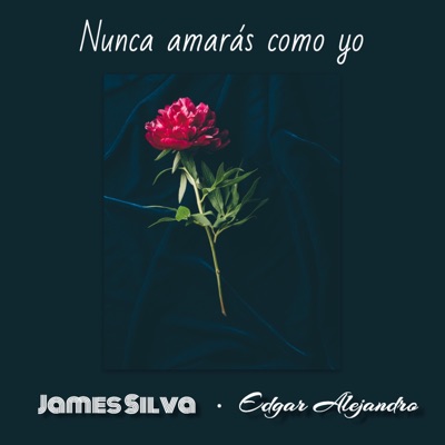 Nunca Amarás Como Yo (New Version) - Single