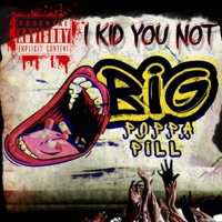 I Kid You Not - Single - BIG POPPA PILL