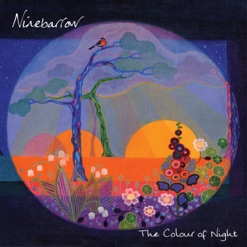 THE COLOUR OF NIGHT cover art