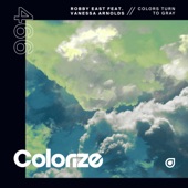 Colors Turn to Gray (Extended Mix) artwork