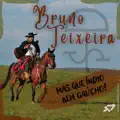 Mas Que Índio Bem Gaúcho