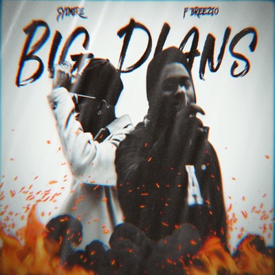 Big Plans (feat. Syimire) - Single