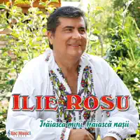 Spune fa, ca nu te bat — Ilie Rosu