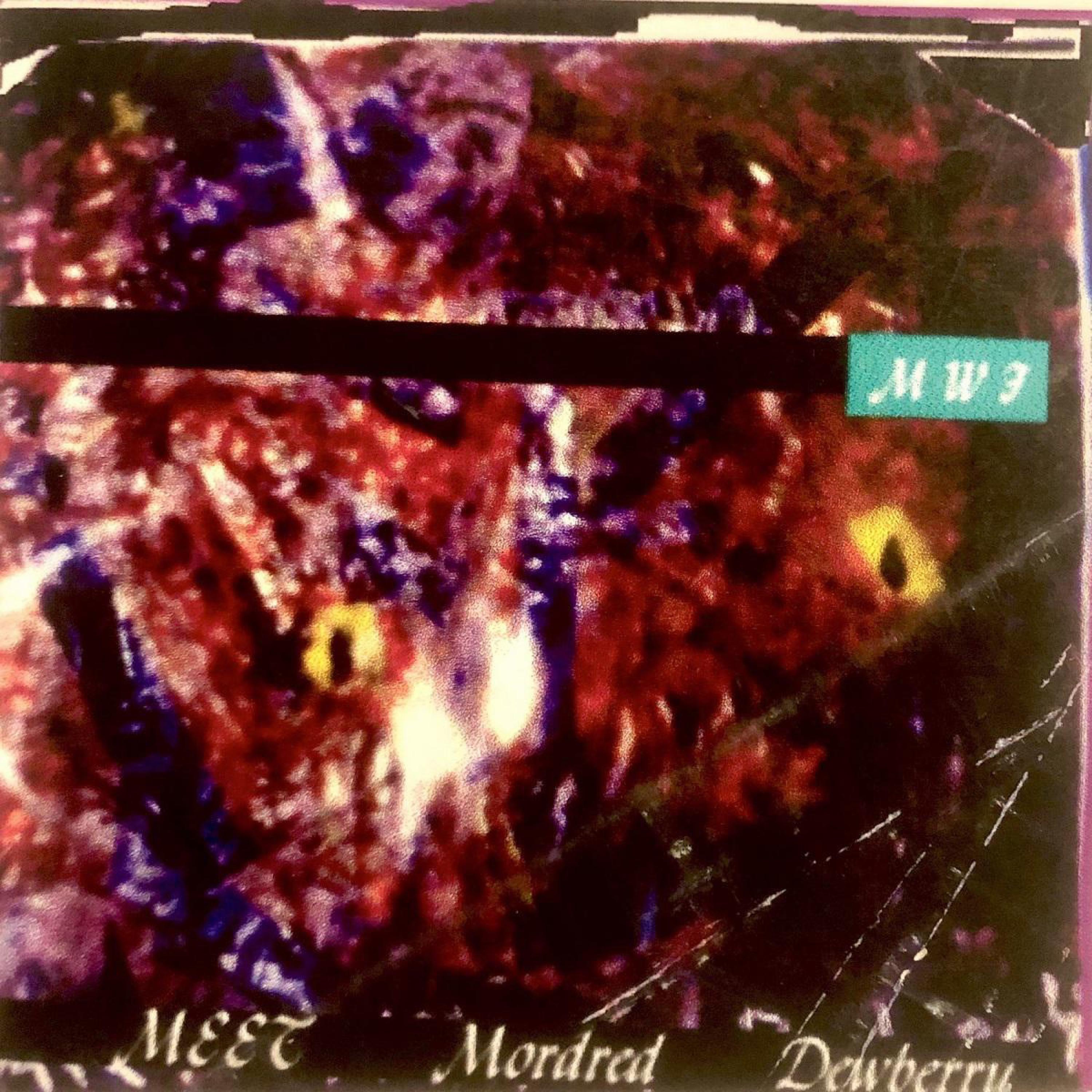 Meet Mordred Dewberry