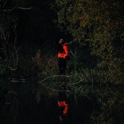 Album artwork