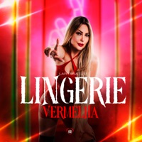 Lingerie Vermelha - Single - Laritssa, Love Funk & L12