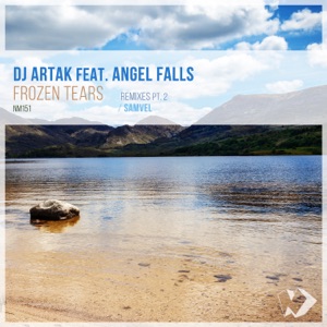 Frozen Tears: Remixes, Pt. 2 (feat. Angel Falls) - Single