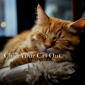 Chill Your Cat Out