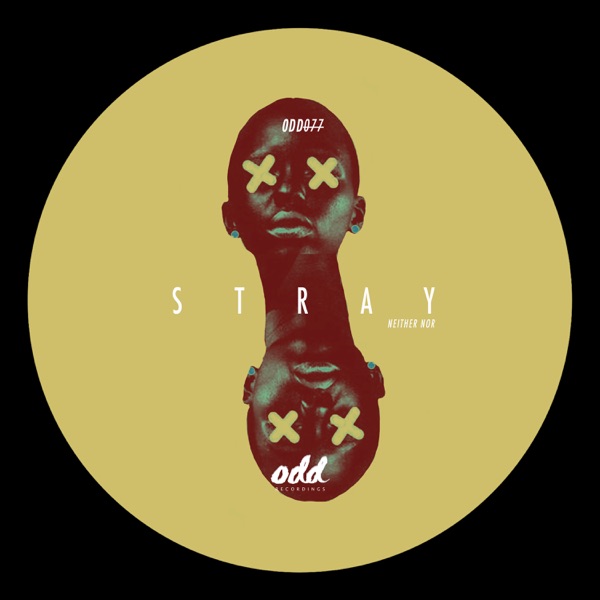 Stray - Single