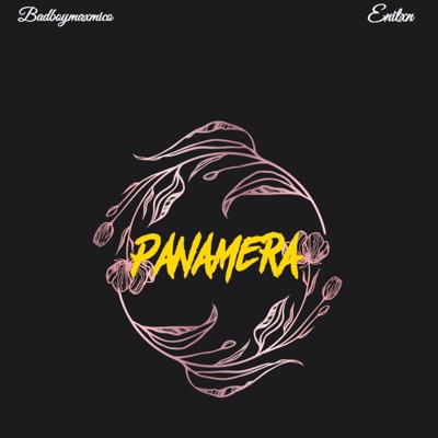 Panamera (feat. Enitxn) - Single