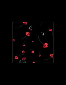Trifectを聴いたり、ミュージックビデオを鑑賞したり、経歴やツアー日程などを確認したりしましょう！