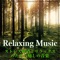 Healing Sound for Relaxation and Sleep artwork