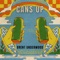 Cans Up - Brent Underwood lyrics