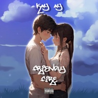 Friendly Fire - Single - KAY AY