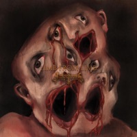 Limb From Limb - Single - Jackson Rose