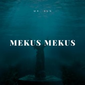 Mekus Mekus Vibes artwork