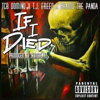 If I Died (feat. T.J. Freeq & Shamu the Panda) - Single - TCB Domino