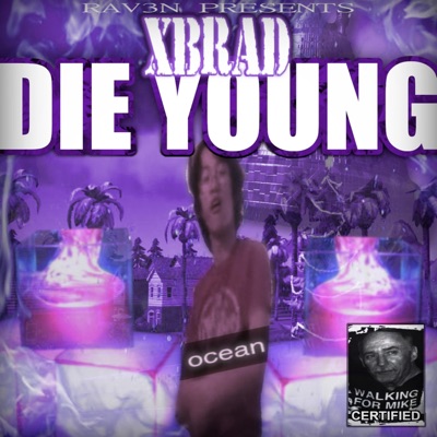 DIE YOUNG prod.rav3n - Single