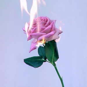 Bara Du - Single