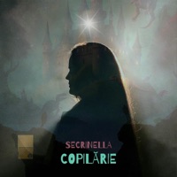 Copilărie - Single - Secrinella