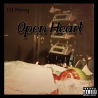 No One - Single - Fatboii Meezy