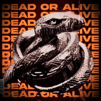 Dead Or Alive - Jaaxx