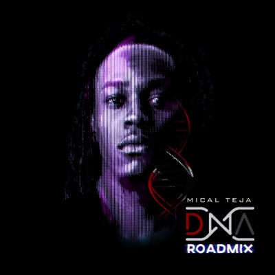 D N A (N.M.G. ROAD MIX) - Single