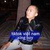 Tiktok Việt Nam cover art