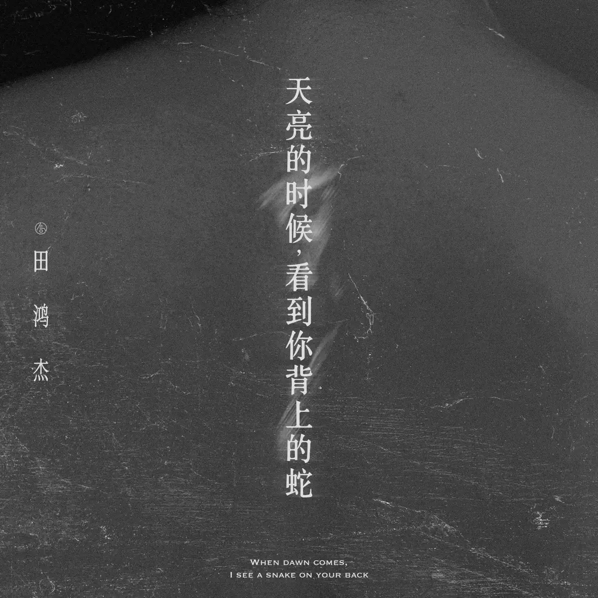 田鴻傑 - 天亮的时候,看到你背上的蛇 - Single (2023) [iTunes Plus AAC M4A]-新房子