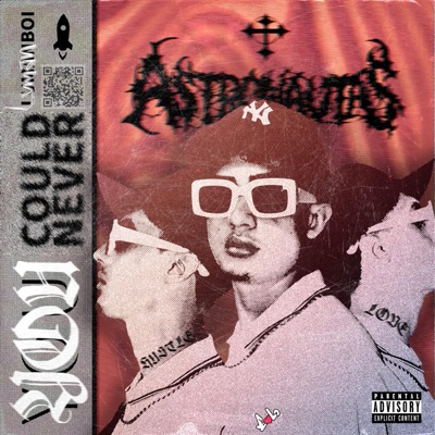 You could never - Single