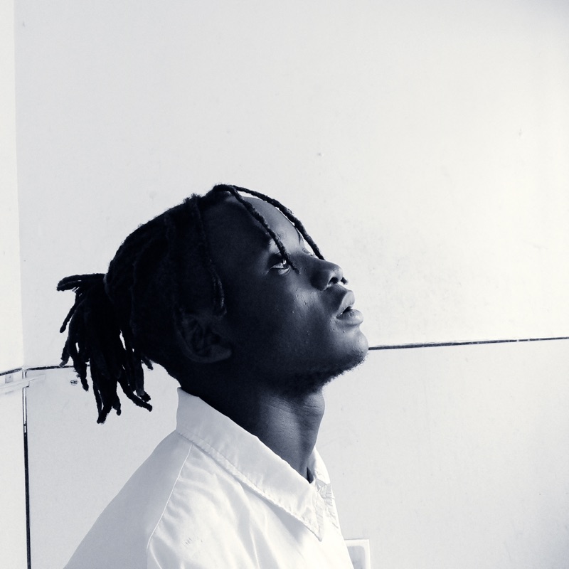 Shan Joe Wil - A New Day