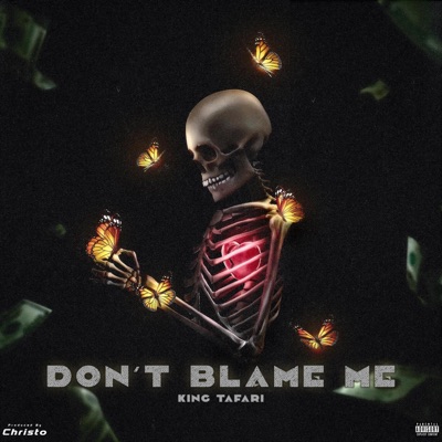 Don't Blame Me - Single