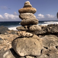 Waves Forever - Tending Bike