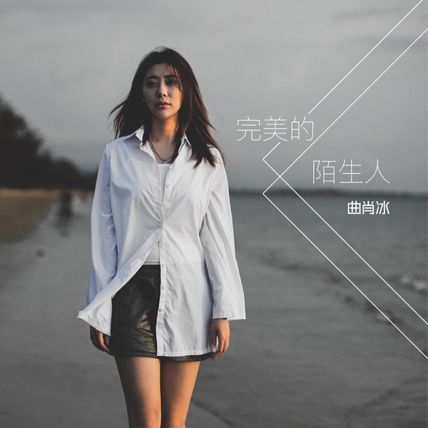 完美的陌生人 - Single